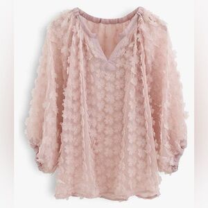 Chicwish Women's Casual Pink/Cream 3D Clover Sheer Puff Sleeves v-neck cute